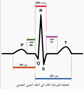 شرح تخطيط القلب الكهربائي ECG وتحديد الحالة من رسم القلب Cap%D9%84%D9%8255ture
